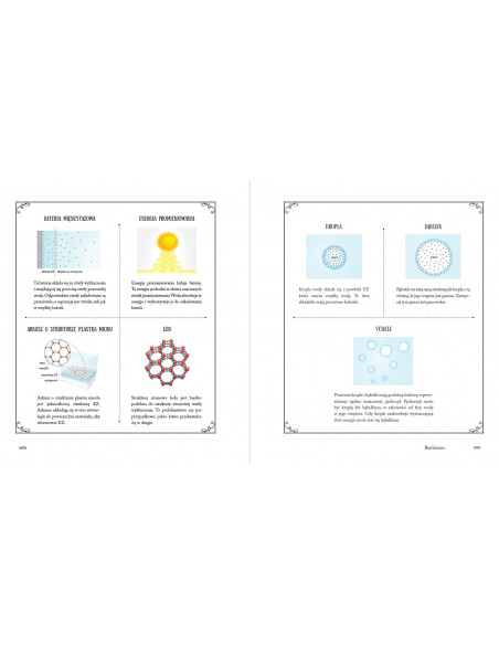 Czwarty stan skupienia wody