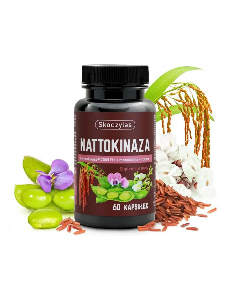 NATTOKINAZA Fermokinase 2000 FU - 60 kaps. Skoczylas