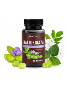 Nattokinaza 2000 FU 60 kaps. Skoczylas 2