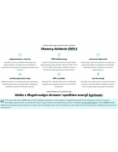 Miniaturowy Impulsator Magnetyczny MiM-2