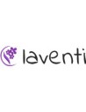 Laventi