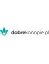 dobre konopie